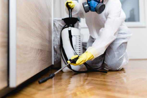 Best Insect Control  in Frazeysburg, OH