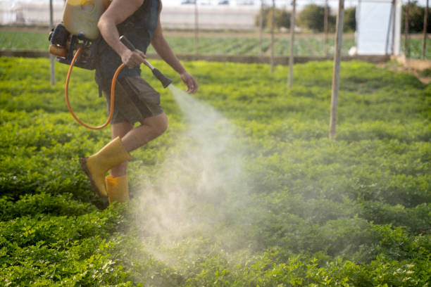 Best Commercial Pest Control Services  in Frazeysburg, OH