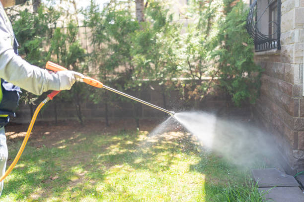 Best Termite Control Services  in Frazeysburg, OH