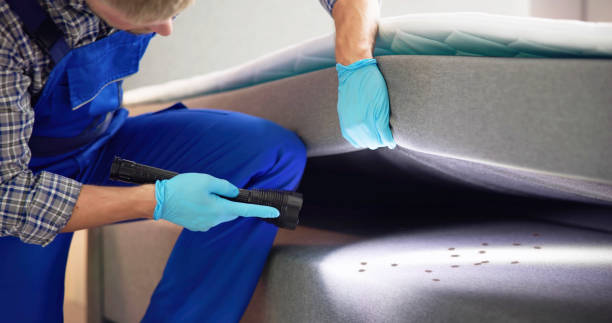 Best Rat Extermination Near Me  in Frazeysburg, OH