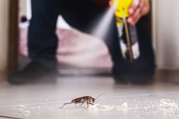 Best Affordable Exterminators  in Frazeysburg, OH