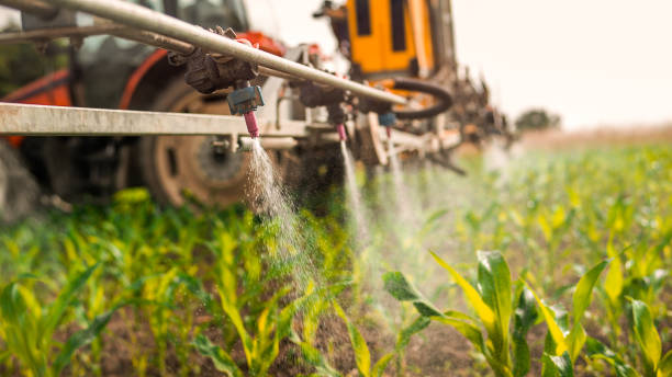 Best Local Pest Control Services  in Frazeysburg, OH