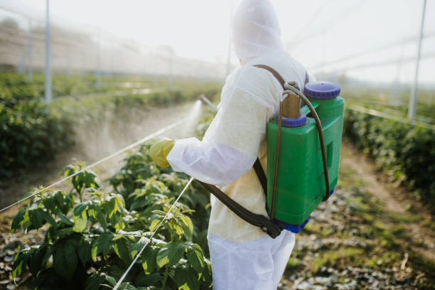 Best Flea Control Services  in Frazeysburg, OH